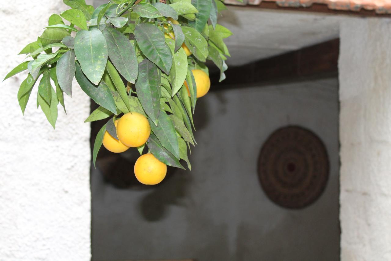 B&B Danonna Ittiri Exterior foto